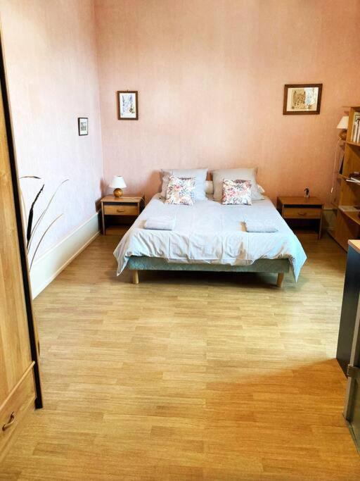 Charmant T3 Proche Du Centre-Ville Colmar Dış mekan fotoğraf