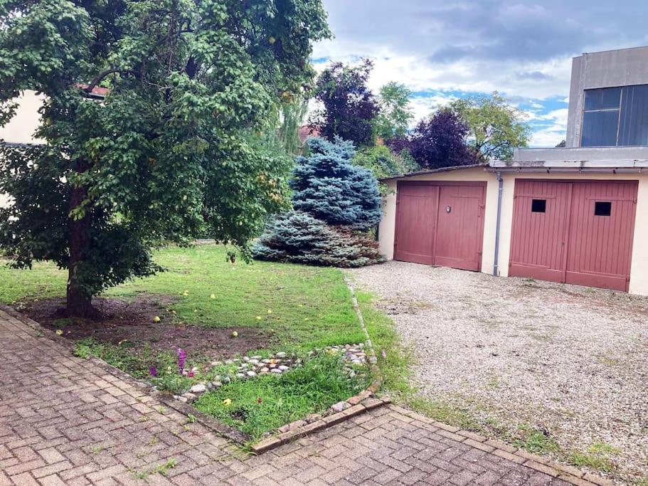 Charmant T3 Proche Du Centre-Ville Colmar Dış mekan fotoğraf