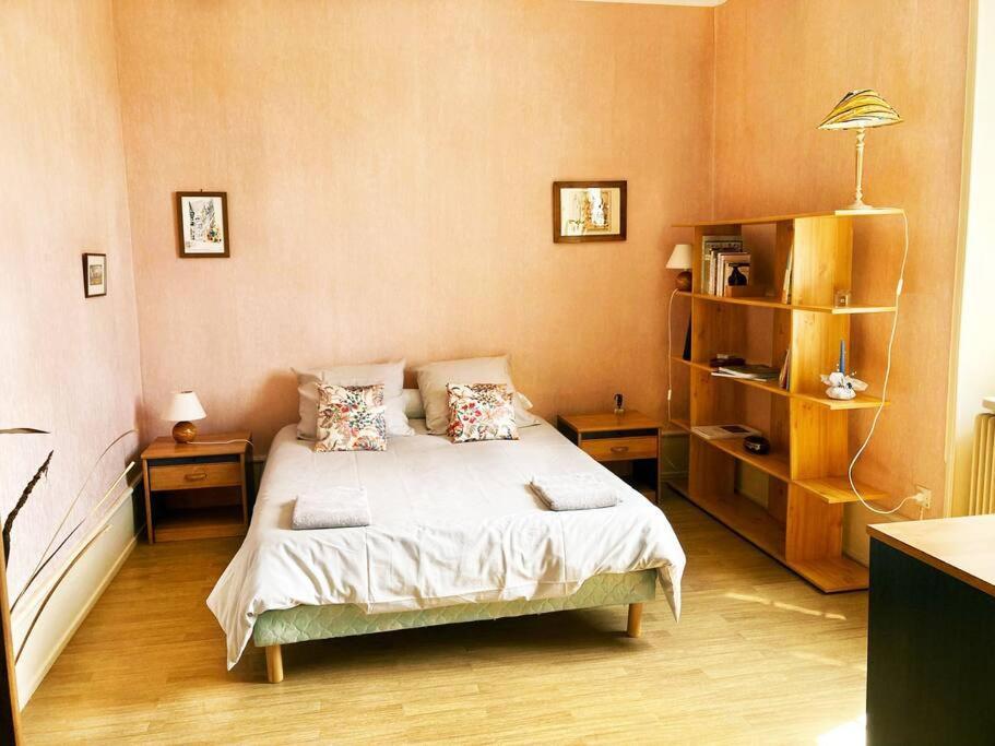 Charmant T3 Proche Du Centre-Ville Colmar Dış mekan fotoğraf